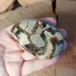 Seelenstein-Spezialstein-Septarie-Scheibe9-2 Seelenstein-Spezialstein-Septarie-Scheibe