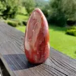 Seelenstein-Spezialstein-Versteinertes-Holz-Freiform