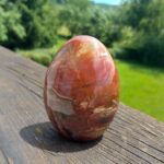 Seelenstein-Spezialstein-Versteinertes-Holz-Freiform