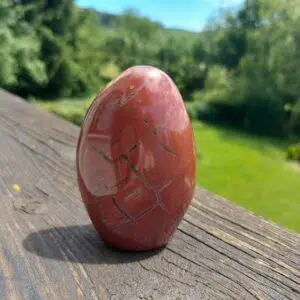 Seelenstein-Spezialstein-Versteinertes-Holz-Freiform