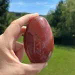 Seelenstein-Spezialstein-Versteinertes-Holz-Freiform