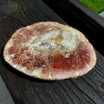 Seelenstein-Spezialstein-Versteinertes-Holz-Scheibe