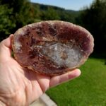 Seelenstein-Spezialstein-Versteinertes-Holz-Scheibe