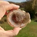 Seelenstein-Spezialstein-Versteinertes-Holz-Scheibe-klein