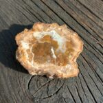 Seelenstein-Spezialstein-Versteinertes-Holz-Scheibe-klein