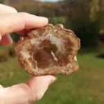 Seelenstein-Spezialstein-Versteinertes-Holz-Scheibe-klein